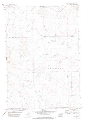 Fish Draw USGS topographic map 45103b1