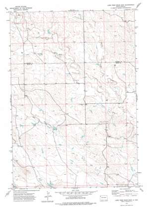 Lone Tree Draw East USGS topographic map 45103b4