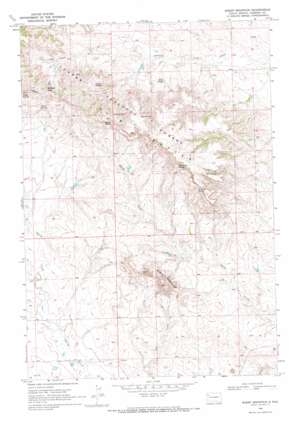 Sheep Mountain USGS topographic map 45103c1