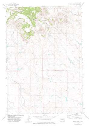 Moreau Peak USGS topographic map 45103c6