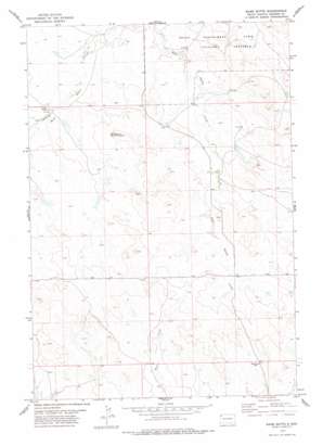 Bams Butte USGS topographic map 45103d3
