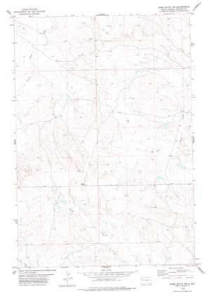 Bams Butte NW USGS topographic map 45103d4