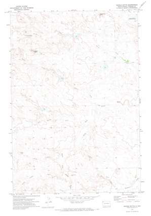 Saddle Butte USGS topographic map 45103e6