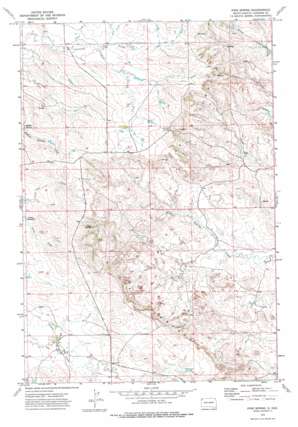Pine Spring USGS topographic map 45103e7