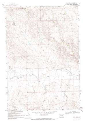 Reva NW USGS topographic map 45103f2