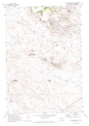 McKenzie Butte USGS topographic map 45103f5
