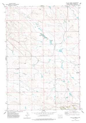 Gallup Creek topo map