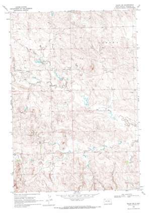 Ralph Sw USGS topographic map 45103g2