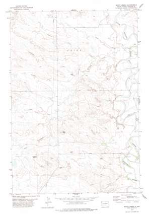 Scott Creek USGS topographic map 45103g8