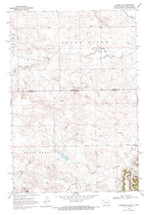 Ladner NE USGS topographic map 45103h5