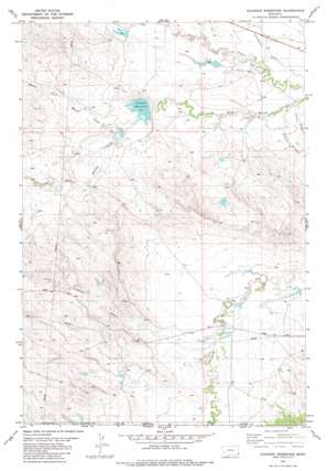 Cochran Reservoir topo map