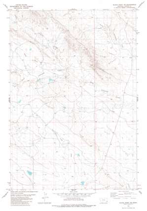 Black Point Ne USGS topographic map 45104b5