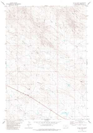 Black Point USGS topographic map 45104b6