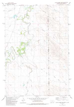 Cactus Creek East USGS topographic map 45104c1