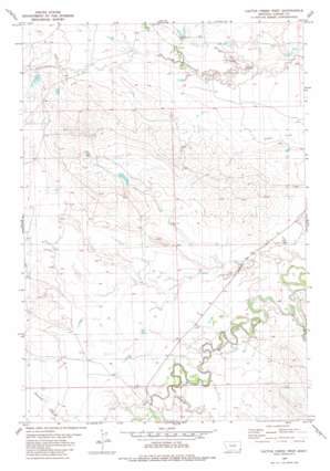 Cactus Creek West USGS topographic map 45104c2
