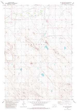 Tip Top Butte USGS topographic map 45104c6