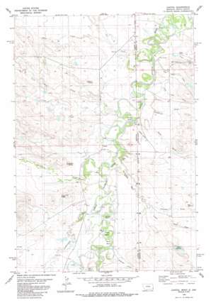 Capitol USGS topographic map 45104d1