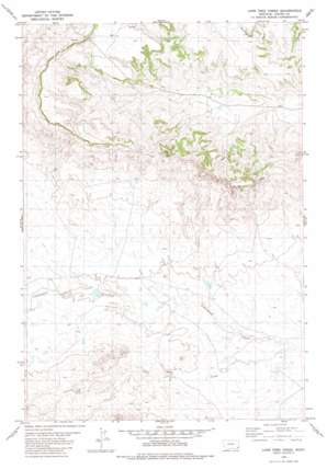 Lone Tree Creek USGS topographic map 45104d3