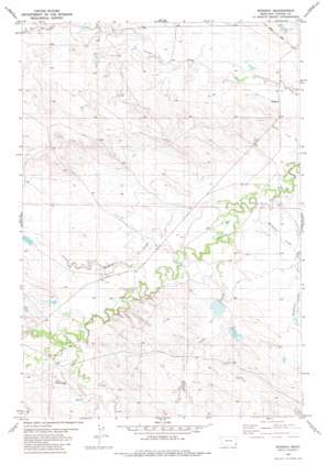 Ridgway USGS topographic map 45104d5