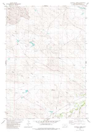 Whitetail Creek USGS topographic map 45104d6