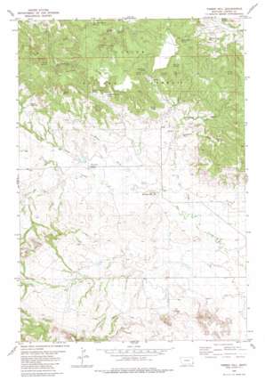 Timber Hill topo map