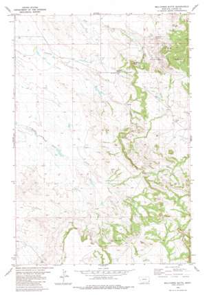 Belltower Butte USGS topographic map 45104e3
