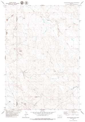 Pocochichee Butte topo map