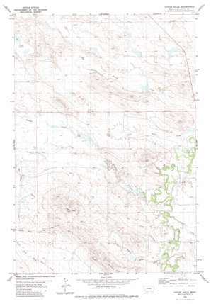 Taylor Hills USGS topographic map 45104f4