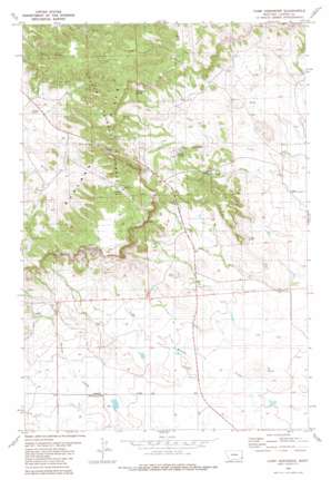 Camp Needmore USGS topographic map 45104g4