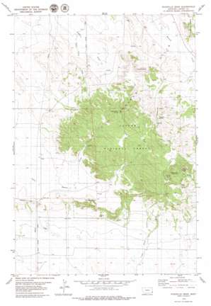 Stagville Draw USGS topographic map 45104g5
