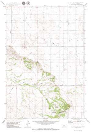 Beaver Flats South topo map