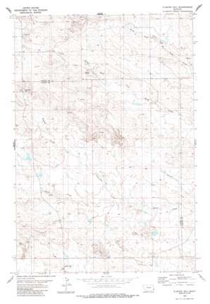 Flasted Hill topo map