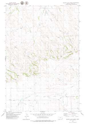 Beaver Flats North USGS topographic map 45104h6