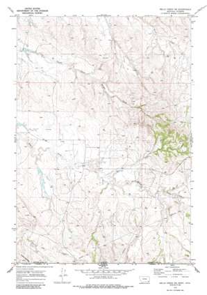 Belle Creek SW USGS topographic map 45105a2