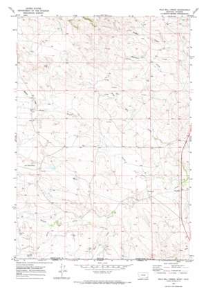 Wild Bill Creek USGS topographic map 45105a4