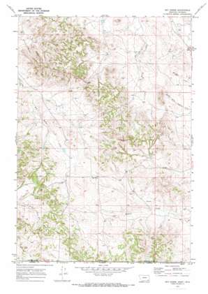 Bay Horse USGS topographic map 45105a5