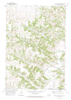 Bradshaw Creek USGS topographic map 45105a8