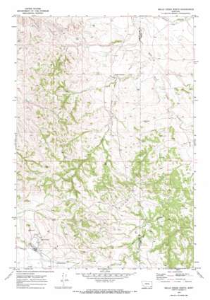 Belle Creek North USGS topographic map 45105b1