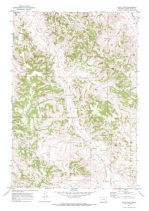 Baldy Peak USGS topographic map 45105b5