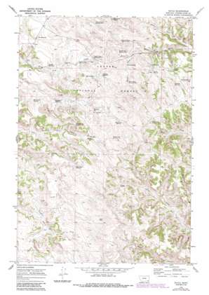 Sayle USGS topographic map 45105b8
