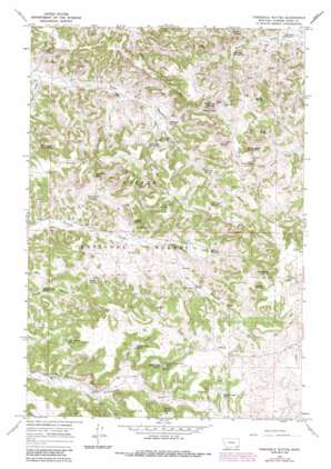 Threemile Buttes USGS topographic map 45105d8