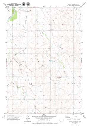 Rattlesnake Ridge topo map