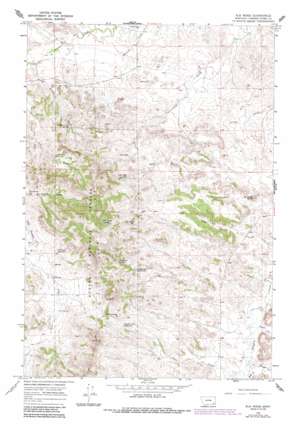 Elk Ridge USGS topographic map 45105f7