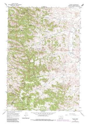 Stacey USGS topographic map 45105f8