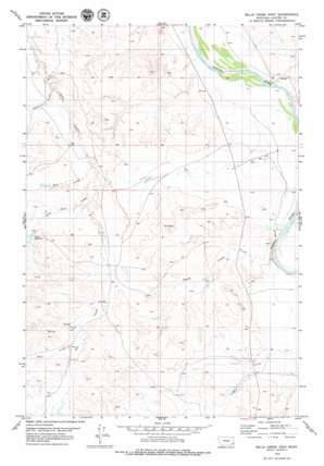Blacktail Creek NW USGS topographic map 45105h1
