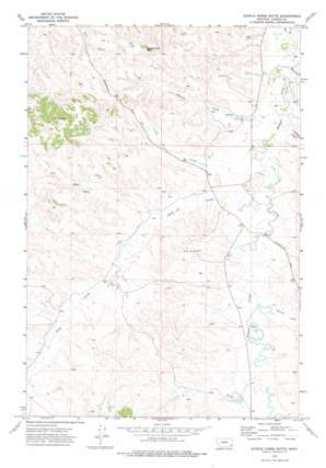 Saddle Horse Butte USGS topographic map 45105h4
