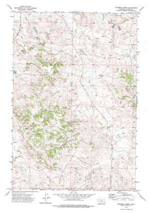 Fourmile Creek USGS topographic map 45105h8