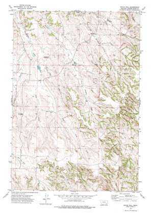 Birney USGS topographic map 45106a1