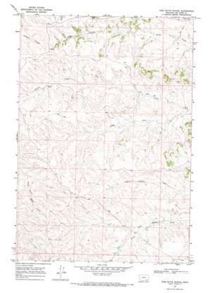 Pine Butte School USGS topographic map 45106a5