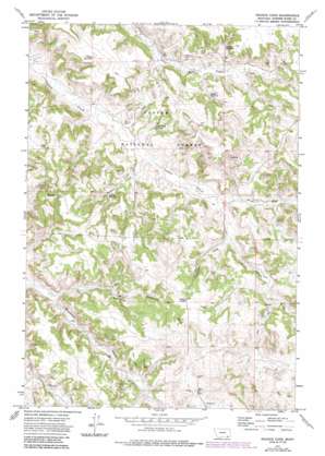 Reanus Cone USGS topographic map 45106b1